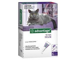 Advantage Cat Large 4kg+ Purple main image 0
