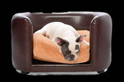 PetObsessed Chocolate Indulgence PVC Leather Dog Sofa