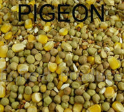 Avigrain Swift Pigeon Mix 1kg to 20kg: PHOTO OF SEED