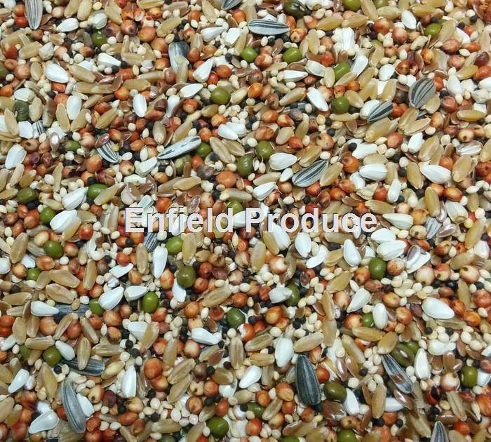 dove seed mix for planting Dove Seed Mix | For Medium or Large Doves