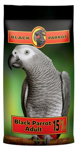 black parakeets