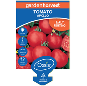 Tomato Apollo Garden Harvest 100mm Pot | Oasis Seedlings