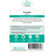 Tomato Apollo Garden Harvest 100mm Pot | Oasis Seedlings