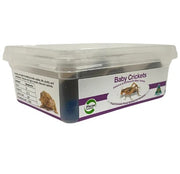 Baby Crickets 100 Pack | Pisces Live Food