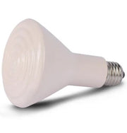 Ceramic Cone Heat Bulb For Chickens (Bainbridge)