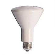 Ceramic Cone Heat Bulb For Chickens (Bainbridge)