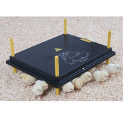 Comfort Chick Heating Plate Brooder