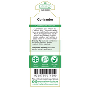 Coriander Vegie Patch Punnet | TICKET Oasis Seedlings