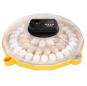 Egg Incubator, Fits 48 Chicken Eggs, Fully Automatic (JN48) New 2024 Model