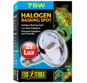 Exo Terra Halogen Basking Spot Lamp 75 Watt