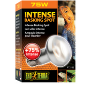 Exo Terra Intense Basking Spot Lamp 75 Watts