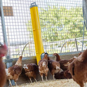 Extension Tube Added For Bainbridge Chook Tower Feeder