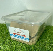Live Crickets | Minibeasts Reptile Food