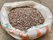 Horticultural Zeolite Organic Coarse 4 to 6mm