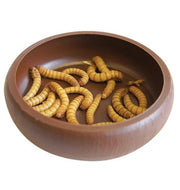 Komodo Mealworm Dish_2