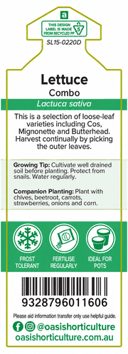 Lettuce Combo Vegie Patch Punnet | Oasis Seedlings