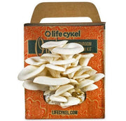 Life Cykel Oyster Mushroom Grow Kit