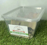 Live Crickets | Minibeasts Reptile Food