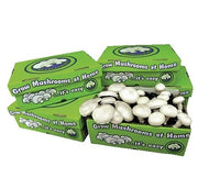 Mushroom Grow Kits - White Button - Enfield Produce: Pet & Garden Supplies