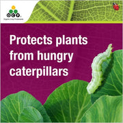 OCP Eco-caterpillar Killer DiPel : CATERPILLAR PROMOTIONAL BANNER