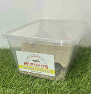 Live Crickets | Minibeasts Reptile Food