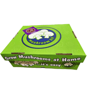 Mushroom Grow Kits  Portabello