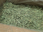 Rabbit Hole Orchard Grass COARSE | Photo of Hay