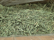 Rabbit Hole Orchard Grass COARSE | Photo of Open Box