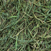 Rabbit Hole Timothy Hay SOFT | Close up photo of hay.