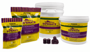 SureFire DIFENATE Rodenticide Blocks | Difenacoum