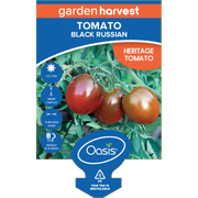 Tomato Black Russian Garden Harvest 100mm Pot | Oasis Seedlings