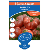 Tomato Big Boss Gourmet Harvest 125mm Pot | Oasis LABEL Seedlings