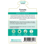 Tomato Big Boss Gourmet Harvest 125mm Pot | Oasis TICKET Seedlings