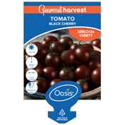 Tomato Black Cherry Gourmet Harvest 125mm Pot | LABEL OASIS
