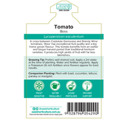 Tomato Boss Gourmet Harvest 125mm Pot |TICKET