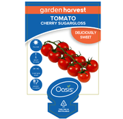 Tomato Cherry Sugargloss Garden Harvest 100mm Pot | LABEL