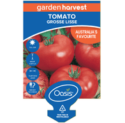 Tomato Grosse Lisse Garden Harvest 100mm Pot | Oasis Seedlings LABEL
