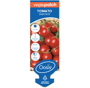 Tomato Sweet Bite Vegie Patch Punnet | LABEL