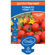Tomato Tommy Toe Garden Harvest 100mm Pot | LABEL