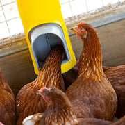 Bainbridge Chook Tower Automatic Feeder