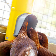 Bainbridge Chook Tower Automatic Feeder