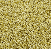 White French Millet Bird Seed