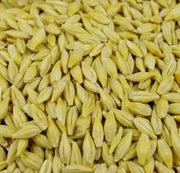 Barley (Whole Grain) - Enfield Produce: Pet & Garden Supplies