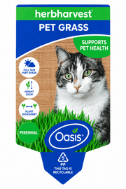 Oasis Herb Harvest Pet Grass front label showing sunlight, height and planting spacing