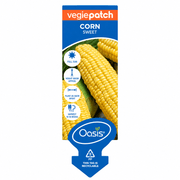 Oasis Sweet Corn front label showing corn cobs, plant spacing, height and harvest guide