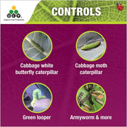 OCP Eco-caterpillar Killer DiPel