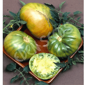 Eden Tomato Seeds