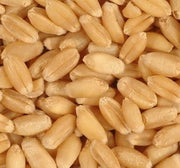 Avigrain Feed Wheat - Enfield Produce: Pet & Garden Supplies