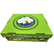 Mushroom Grow Kits  White Button