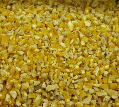 Sliced / Cracked Corn - Enfield Produce